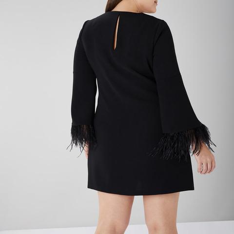 Coast amiah store feather dress