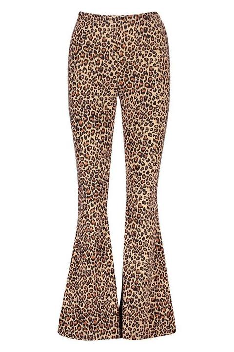 Petite leopard best sale print flares