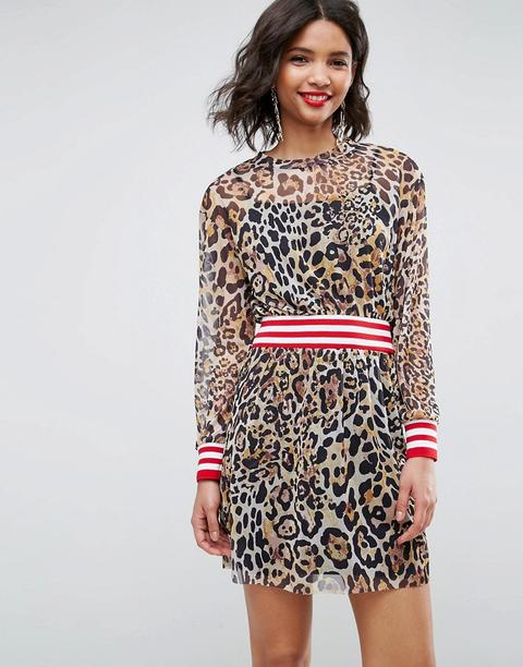 Vestido Skater De Malla Con Estampado De Leopardo Y Detalle De Ribete De Asos