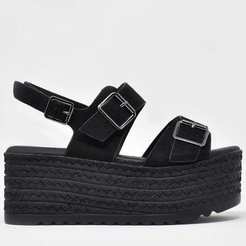 Exhibit Black