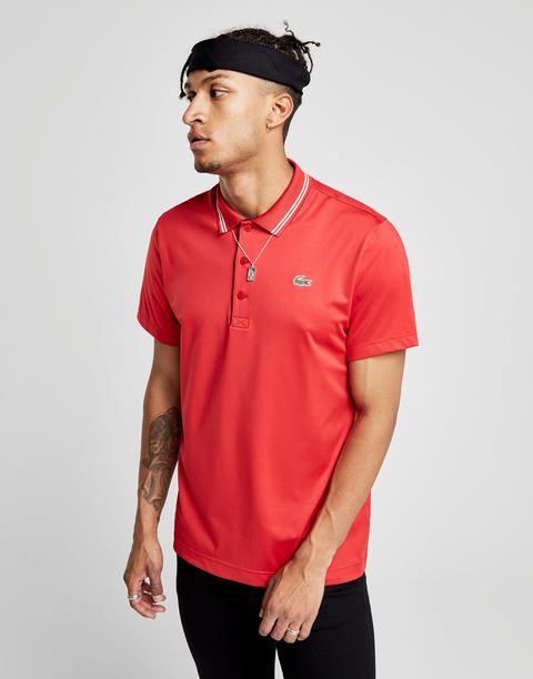 jd lacoste polo