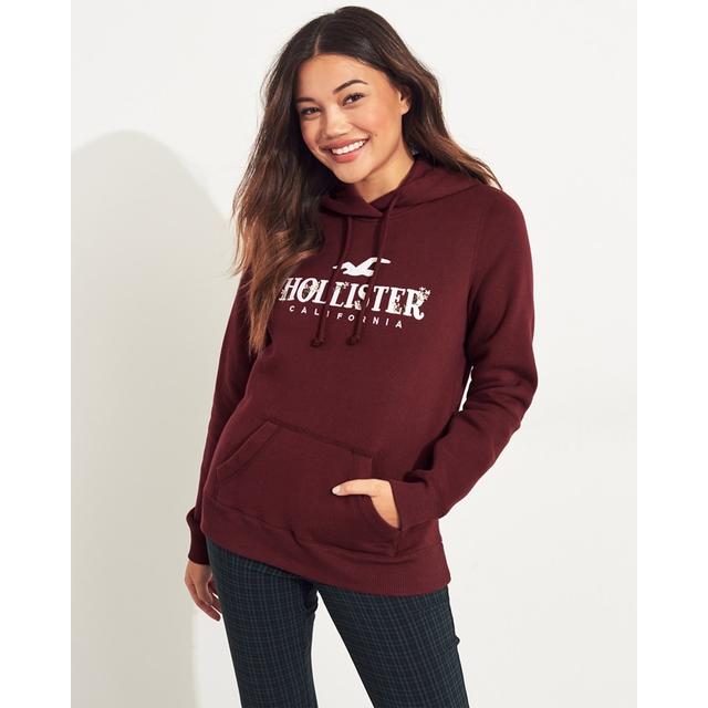 hollister embroidered hoodie