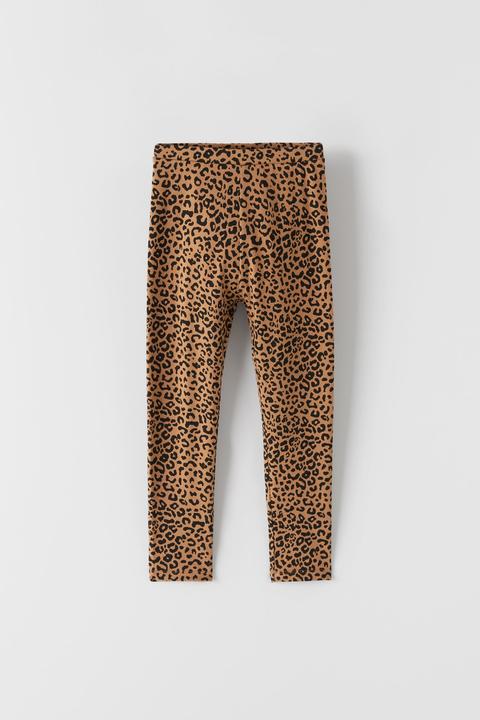 Legging Animal Print