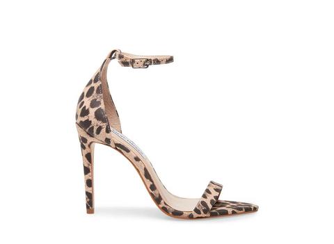 Sane Leopard