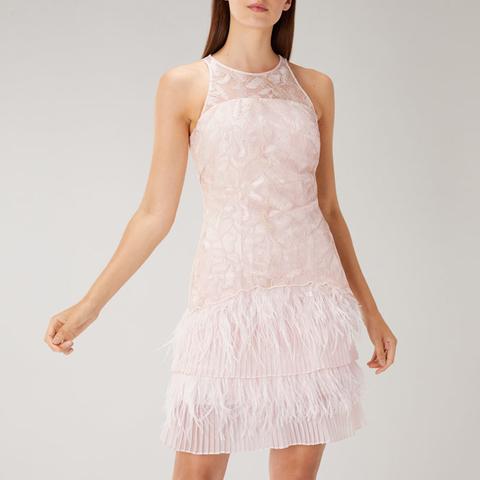 coast pink feather dress