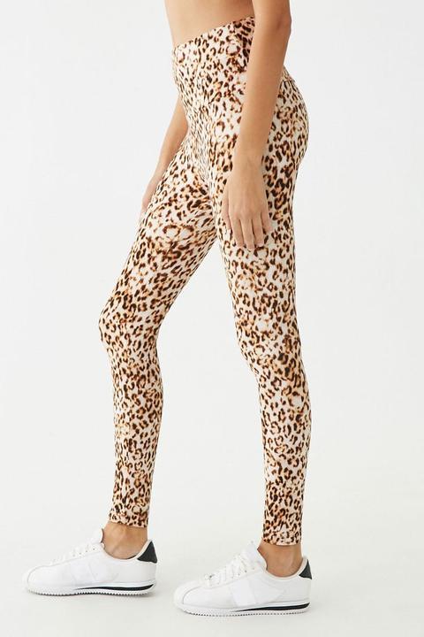 Leopard print on sale leggings forever 21