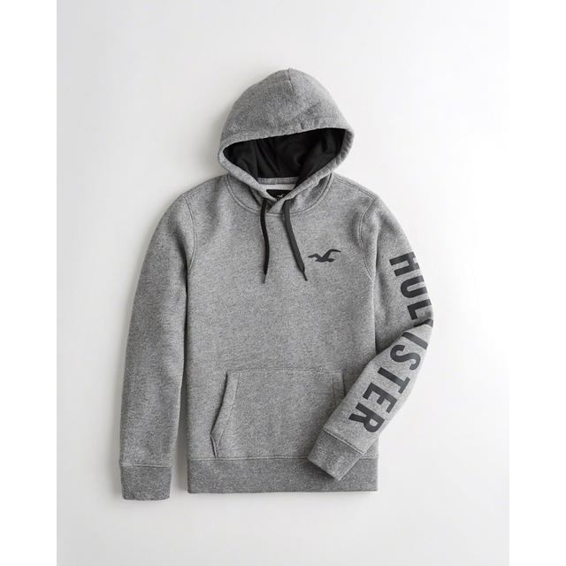 hollister hoodie logo