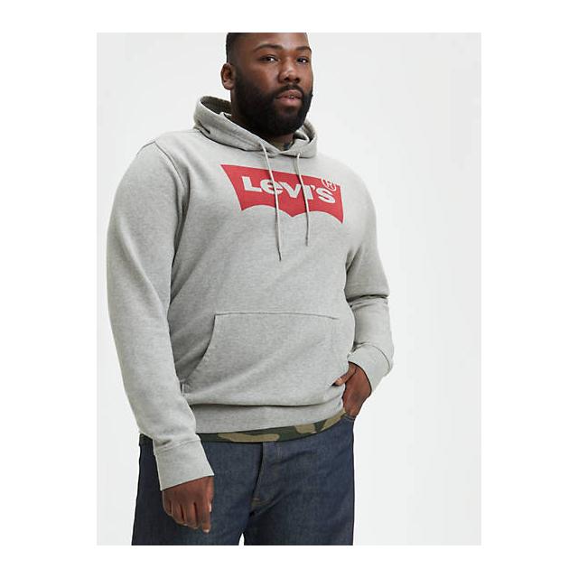 levi's graphic big sleeve sweatshirt