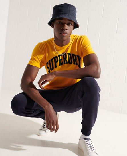 Superdry Varsity Arch Mono T-shirt