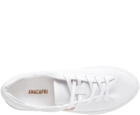 tenis anacapri duda