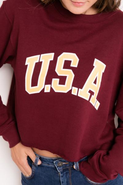 Usa Sweatshirt