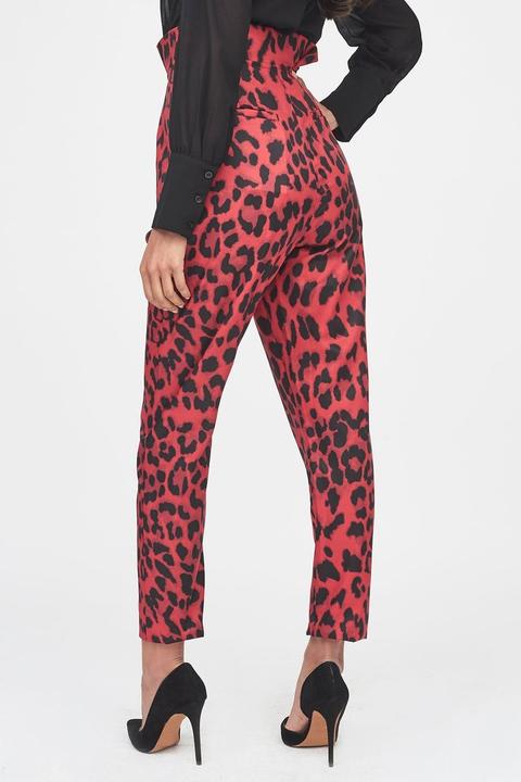 Collarless Cape Blazer In Red Leopard Print