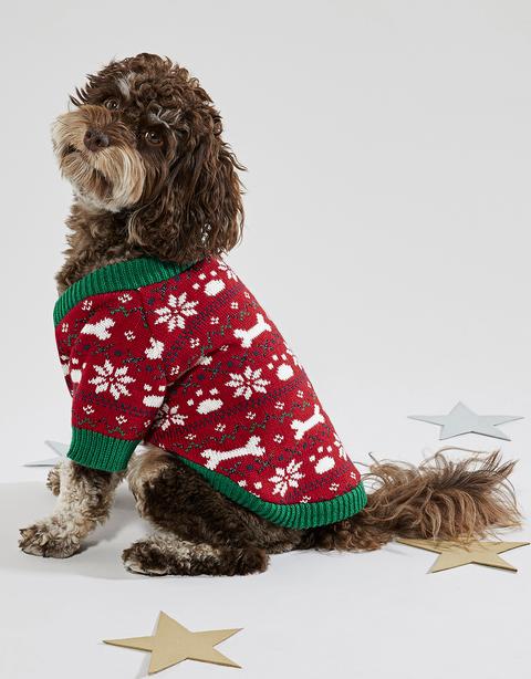 accessorize dog jumper