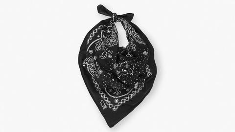 Pasiley Bandana