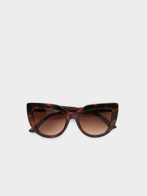 Gafas Brown