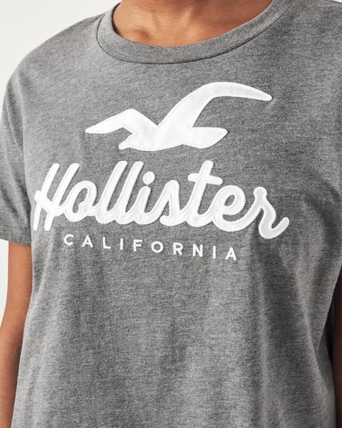 Applique Logo Graphic Tee from Hollister on 21 Buttons