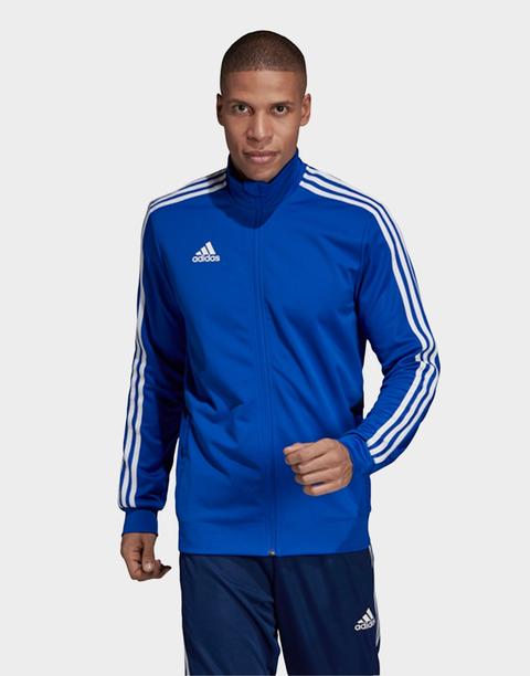 adidas performance tiro 19