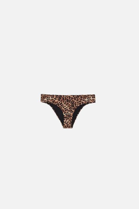 Slip Bikini Con Stampa Animalier