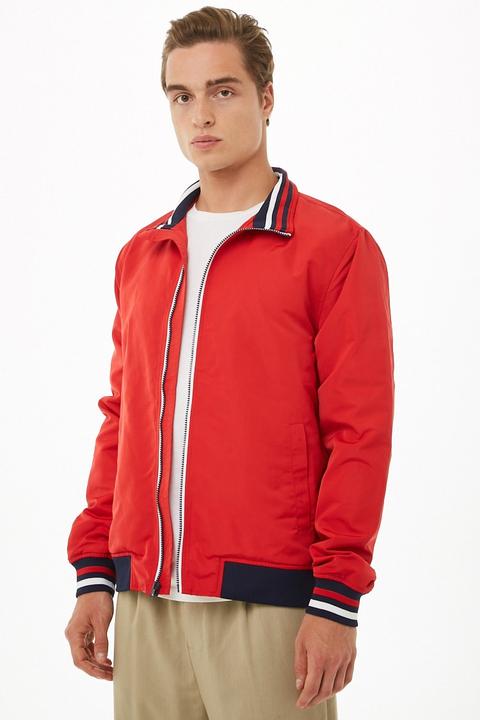 Zippered Striped trim Bomber Jacket At Zippered Bomber Jacket | Forever 21