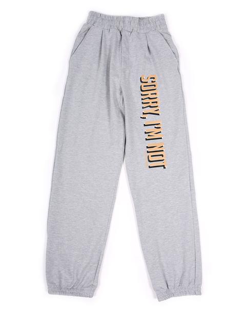Grey Sport Pants With Big Logo W