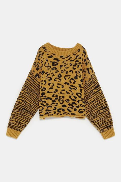 Pullover Con Stampa Animalier