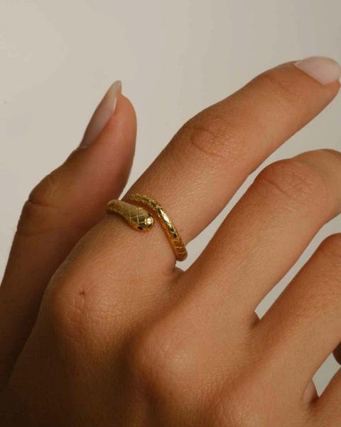 Anillo Snake