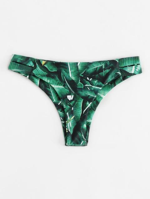 Bragas De Natación Con Estampado De Hoja De Palma