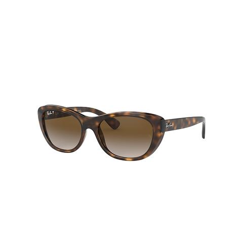 Rb4227 Gafas De Sol