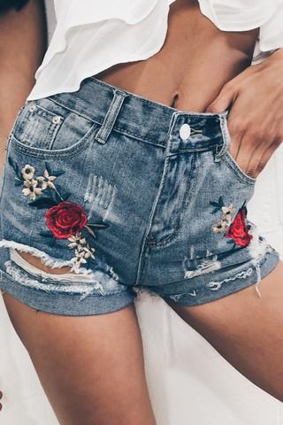 Sara Denim Embroidered Shorts