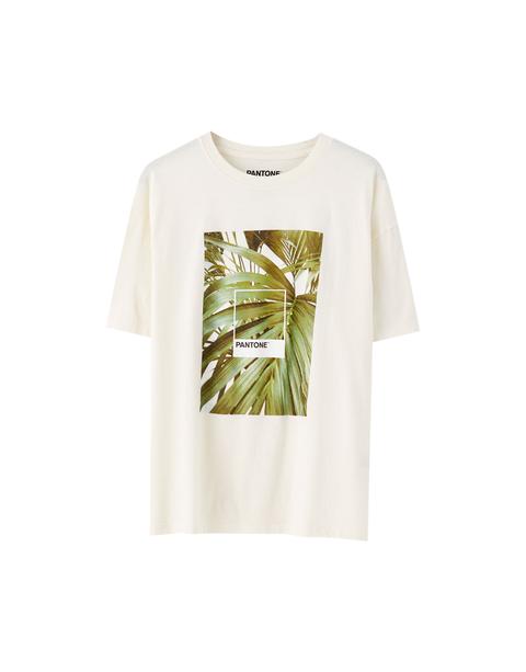 camisa blanca pull and bear