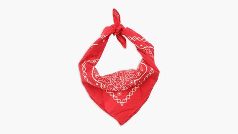 Pasiley Bandana