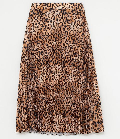 saia renner animal print