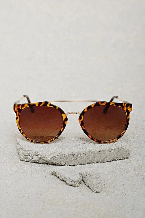 Men Browline Sunglasses