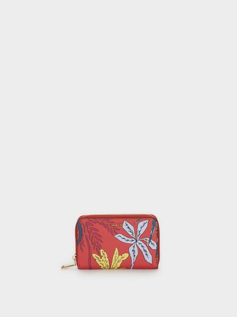 Cartera Alargada Estampado Mono