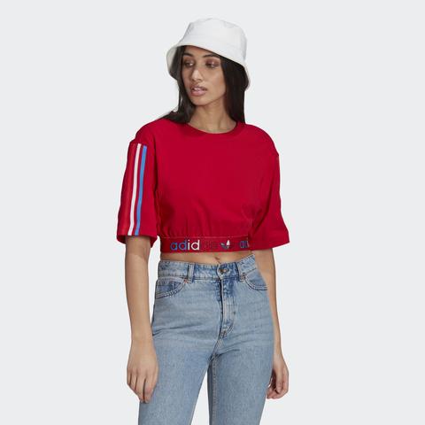 Camiseta Adicolor Primeblue Tricolor Cropped