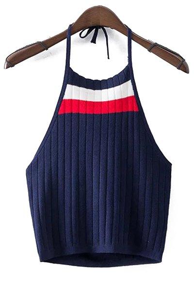 Halter Sleeveless Fitted Color Block Crop Top