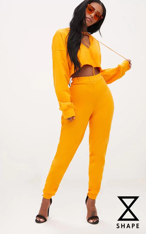 Shape Orange Elastic Bottom Joggers, Orange