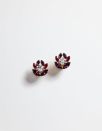 Earrings With Crystals