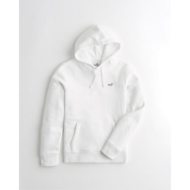 icon hoodie hollister