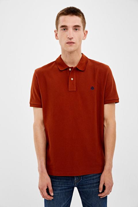 Polo Piqué Básico Springfield