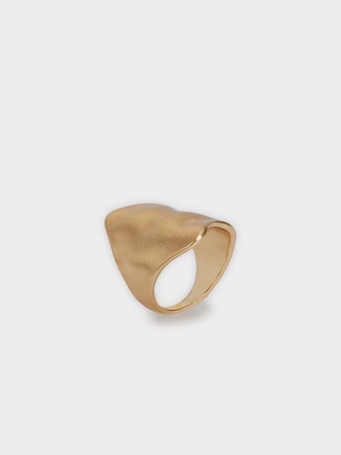 Anillo Blog