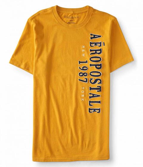 Camiseta Aéropostale Vertical Logo Graphic T