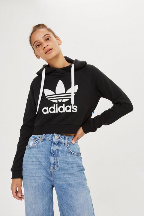 Crop Logo Hoodie By Adidas Originals