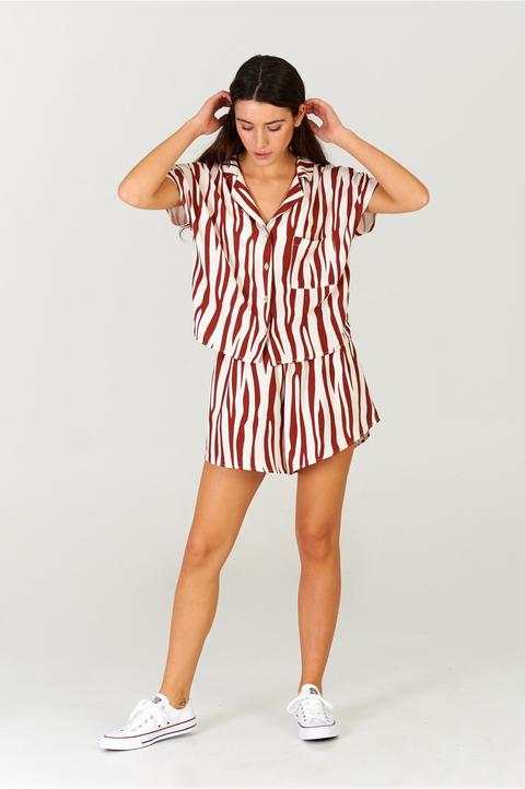 Short Zebra