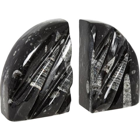 Two Piece Black Orthoceras Book Ends 15x10cm