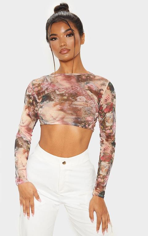 Rose Renaissance Printed Mesh Long Sleeve Crop Top