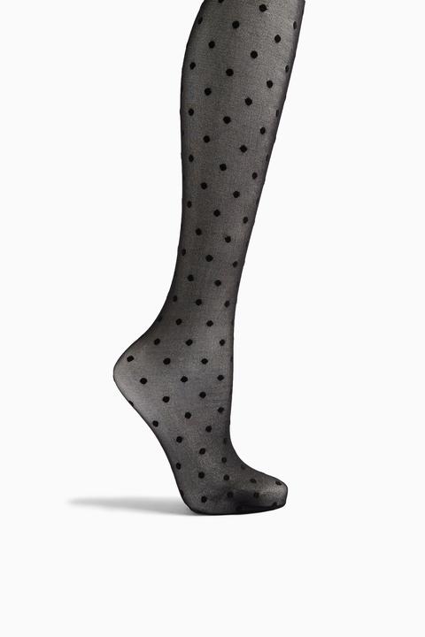 Womens Black Polka Dot Tights - Black, Black