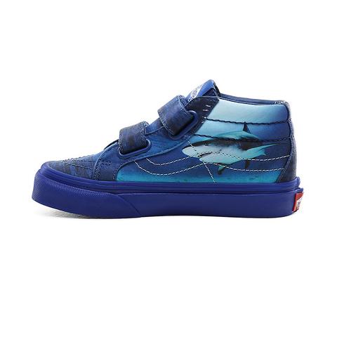 Vans shark hot sale week shoes