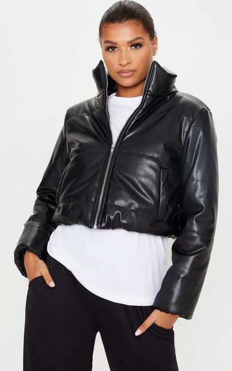 Black Pu Puffer