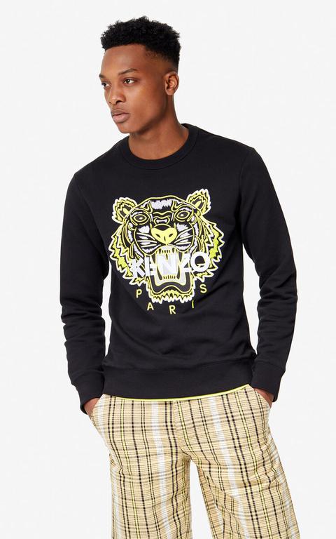 Sweatshirt Tiger 'capsule High Summer'